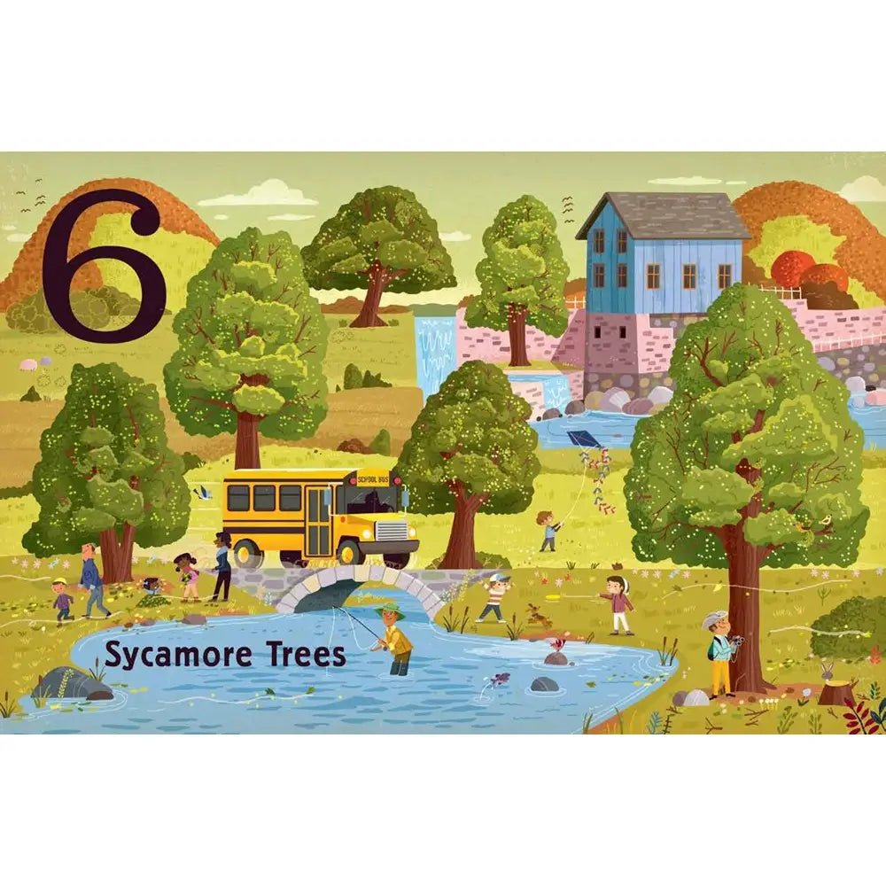 Trees: A Count and Find Primer Board Book - Peregrine Kidswear - Gift -