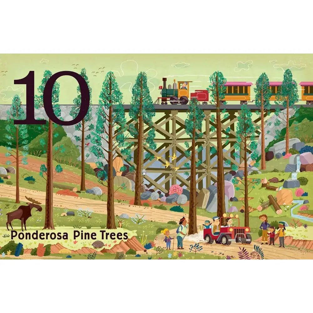 Trees: A Count and Find Primer Board Book - Peregrine Kidswear - Gift -